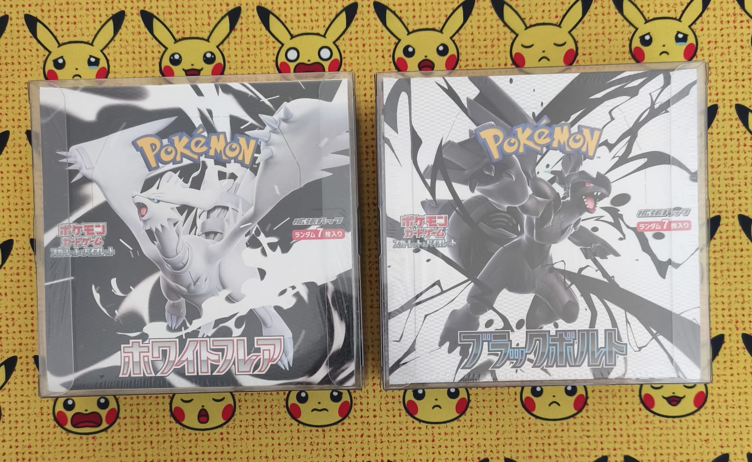Juegos Pokemon Blanco y Negro Ed. Japonesa